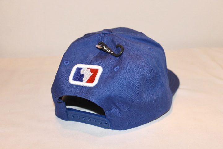 SB0993 - Royal Blue Curve Peak Snapback by !Na Caps in Namibia